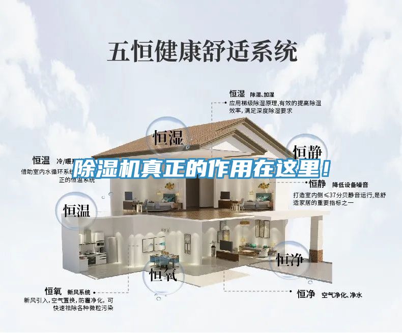 除濕機真正的作用在這里！