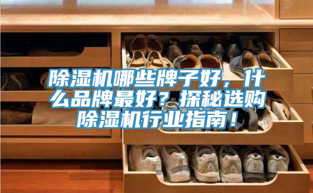 除濕機(jī)哪些牌子好，什么品牌最好？探秘選購(gòu)除濕機(jī)行業(yè)指南！