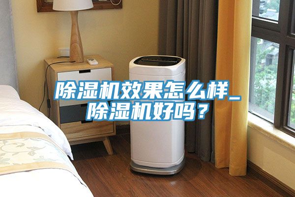 除濕機效果怎么樣_除濕機好嗎？