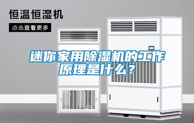 迷你家用除濕機的工作原理是什么？