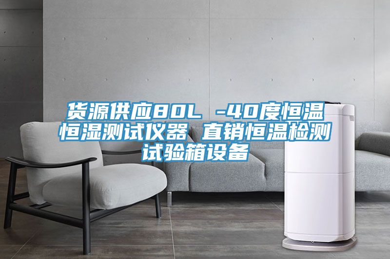 貨源供應(yīng)80L -40度恒溫恒濕測(cè)試儀器 直銷(xiāo)恒溫檢測(cè)試驗(yàn)箱設(shè)備
