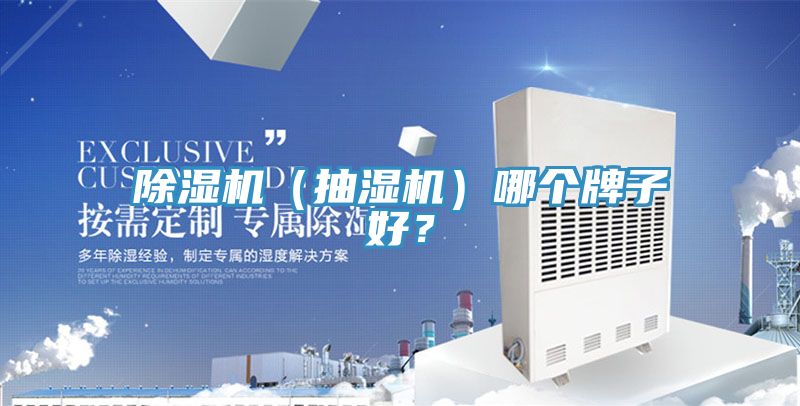 除濕機（抽濕機）哪個牌子好？