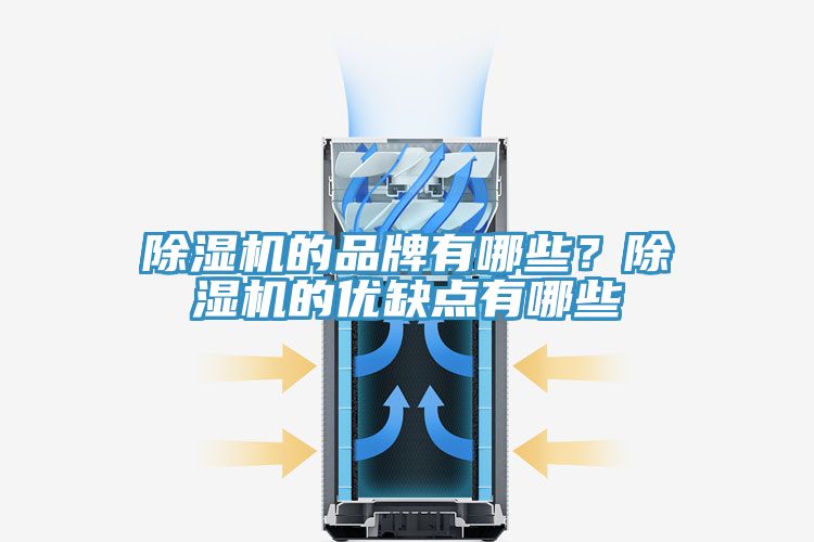 除濕機的品牌有哪些？除濕機的優(yōu)缺點有哪些