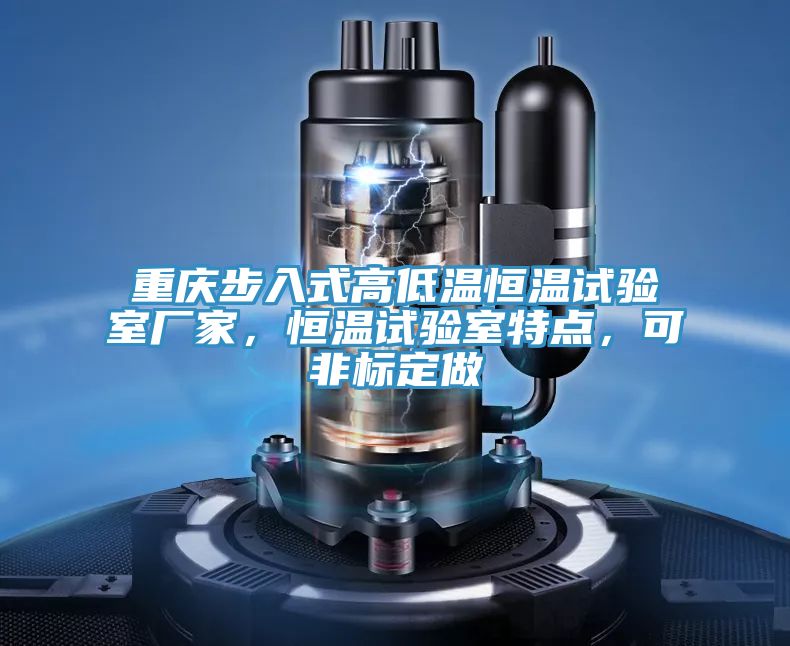 重慶步入式高低溫恒溫試驗(yàn)室廠家，恒溫試驗(yàn)室特點(diǎn)，可非標(biāo)定做