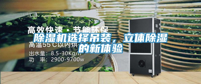 除濕機(jī)選擇吊裝，立體除濕的新體驗(yàn)