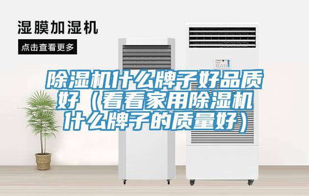 除濕機什么牌子好品質(zhì)好（看看家用除濕機什么牌子的質(zhì)量好）