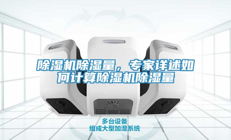 除濕機除濕量，專家詳述如何計算除濕機除濕量